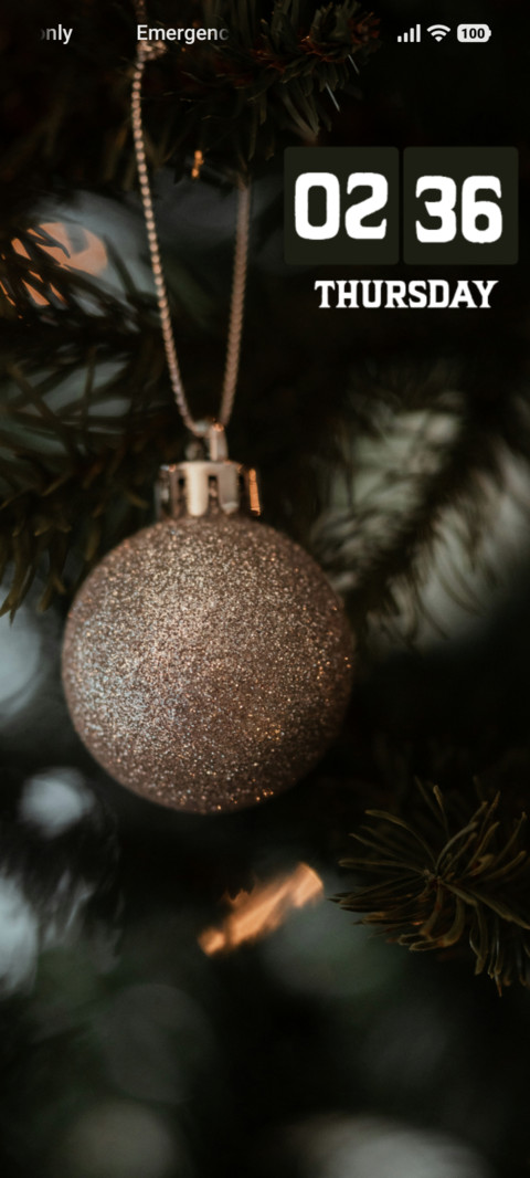Sleigh Bells preview