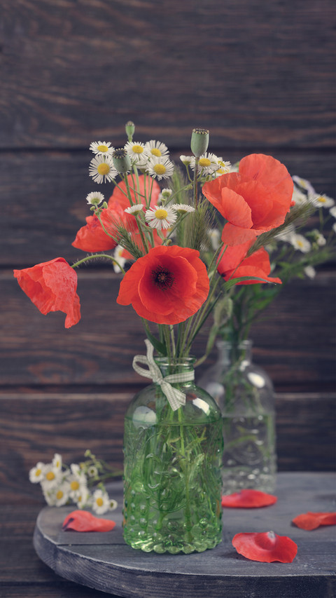 How many ancient poems about flowers do you know preview