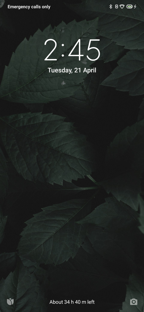 Stock Pure 11 preview