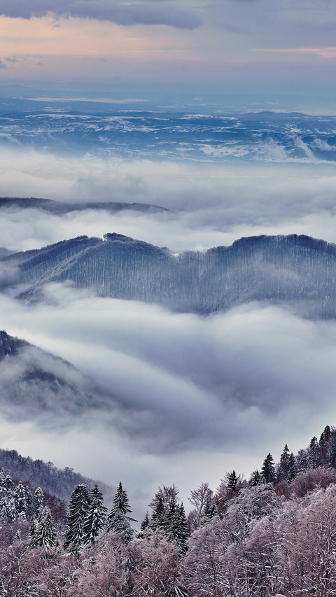 Landscape preview