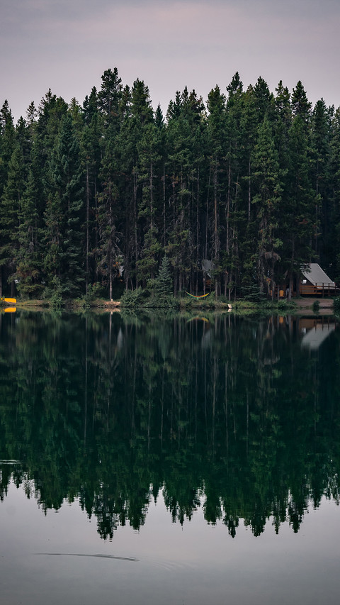 人与自然-拍信创意 preview