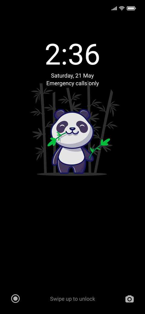 Panda preview