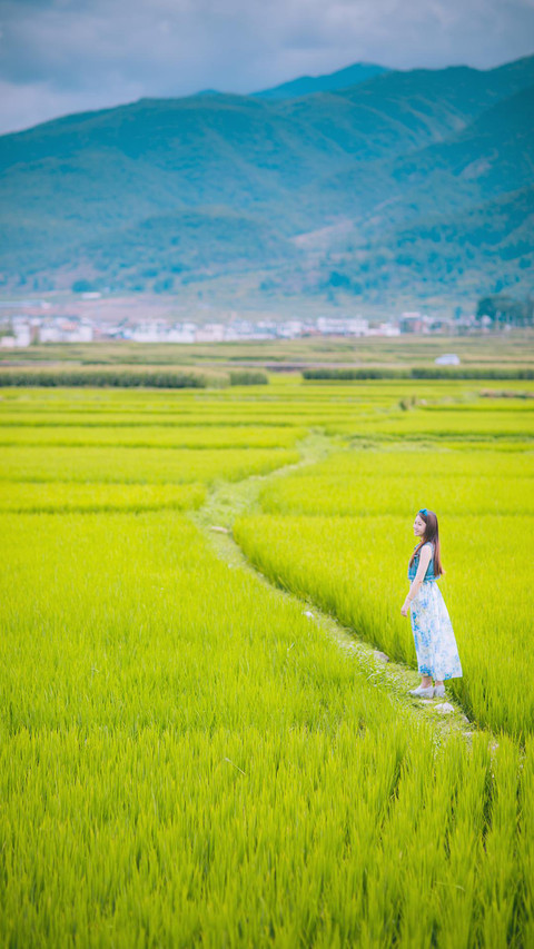 VCG21gic13925888 preview
