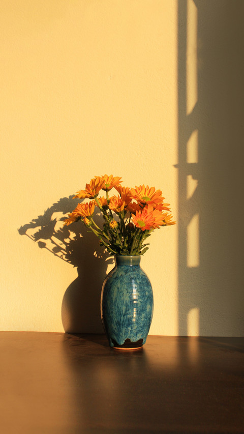 Beautiful romantic sad daisy in sunlight morning preview