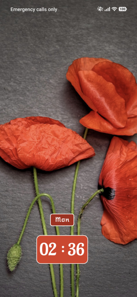 Petals preview