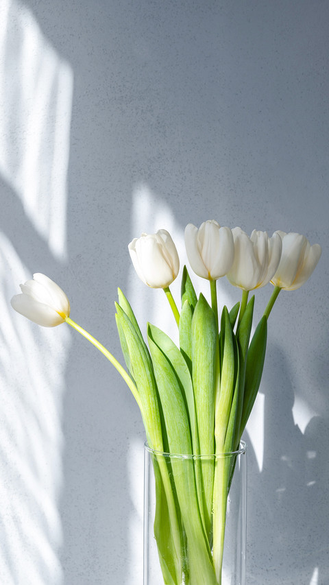 White tulip flowers bouquet on gray concrete wall background preview