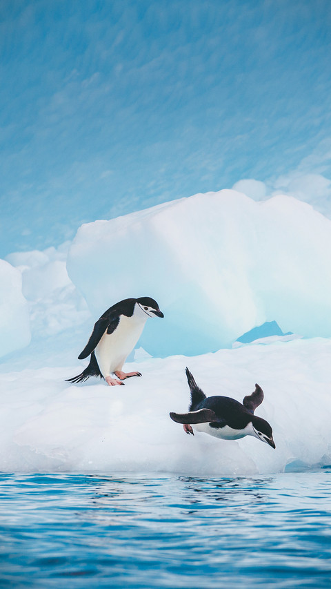 What you dont know about antarctic cold preview