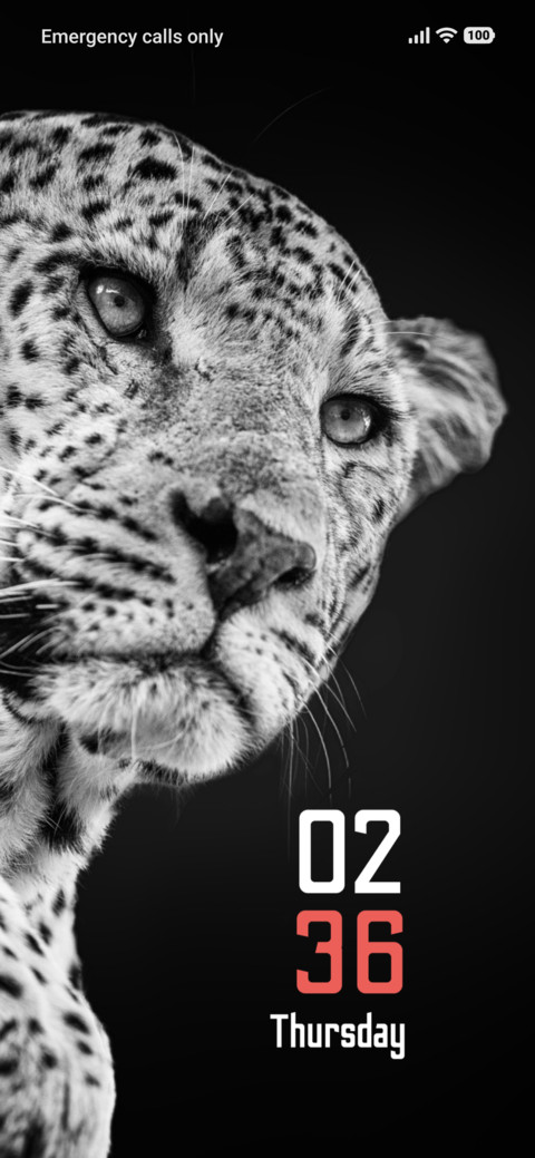 Ghost Leopard preview