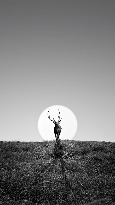 Man and Nature preview