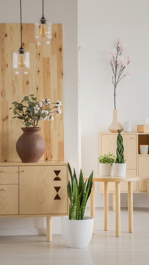 Wooden furniture cleaning tips preview