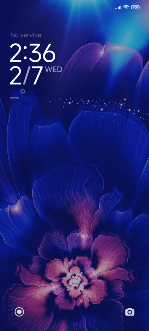Splendid Flowers preview
