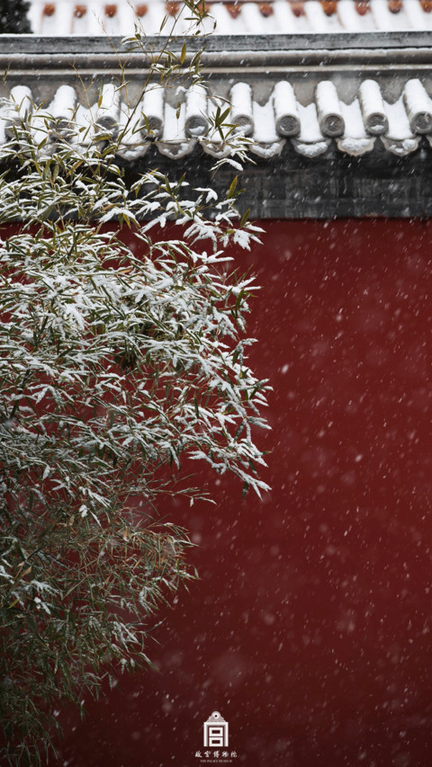 雪落故宫 preview