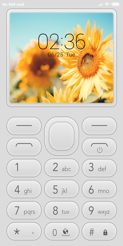 FeaturePhoneW NY preview