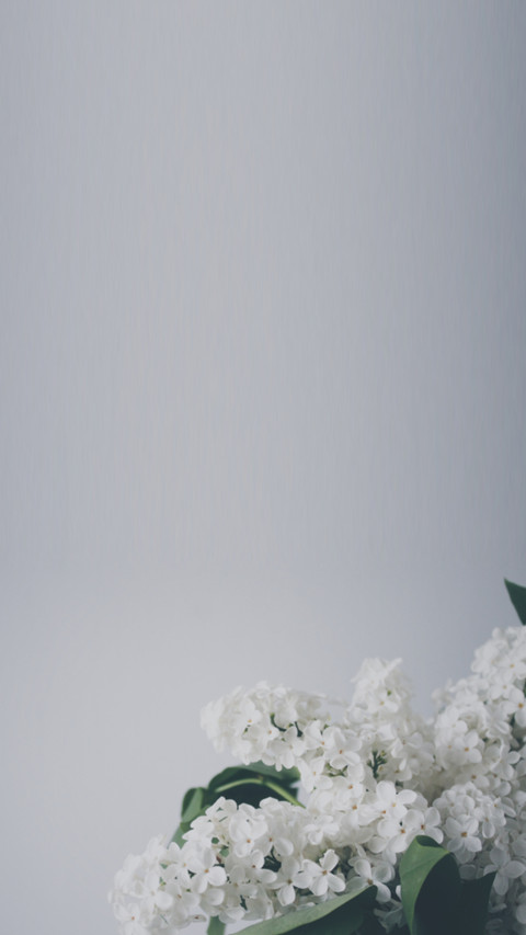 bouquet (8) preview