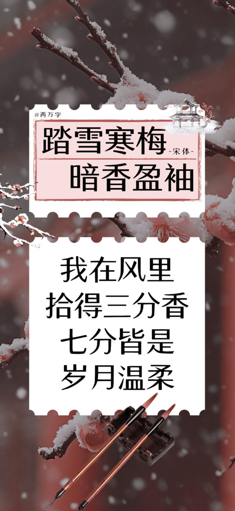 踏雪寒梅暗香盈袖 preview