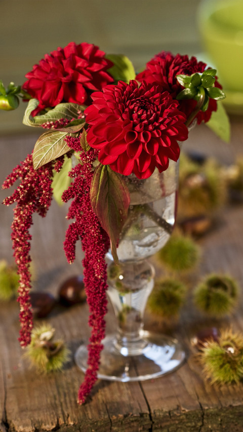 Beautiful Flowers Dragged by Names 6 preview