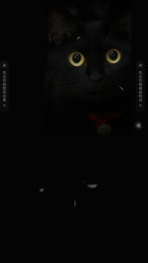 百变黑猫 preview