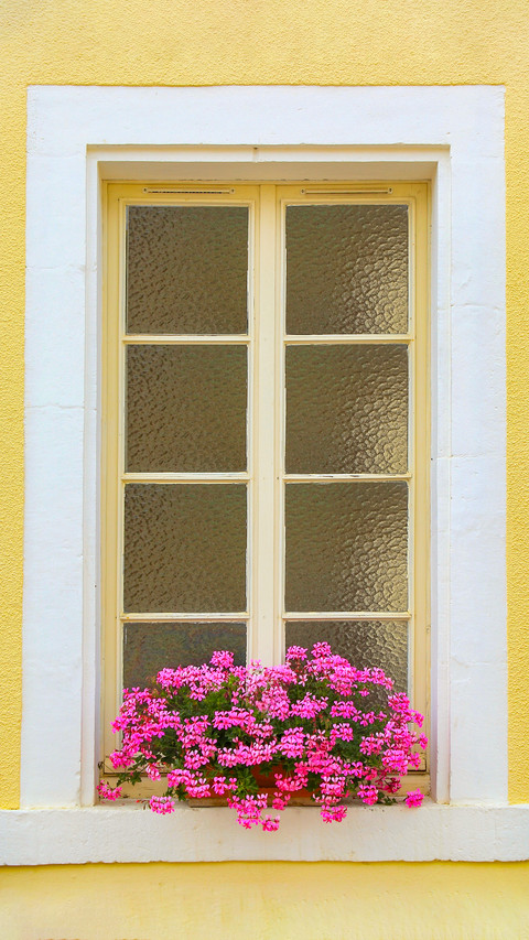 The flowers on the windowsill preview