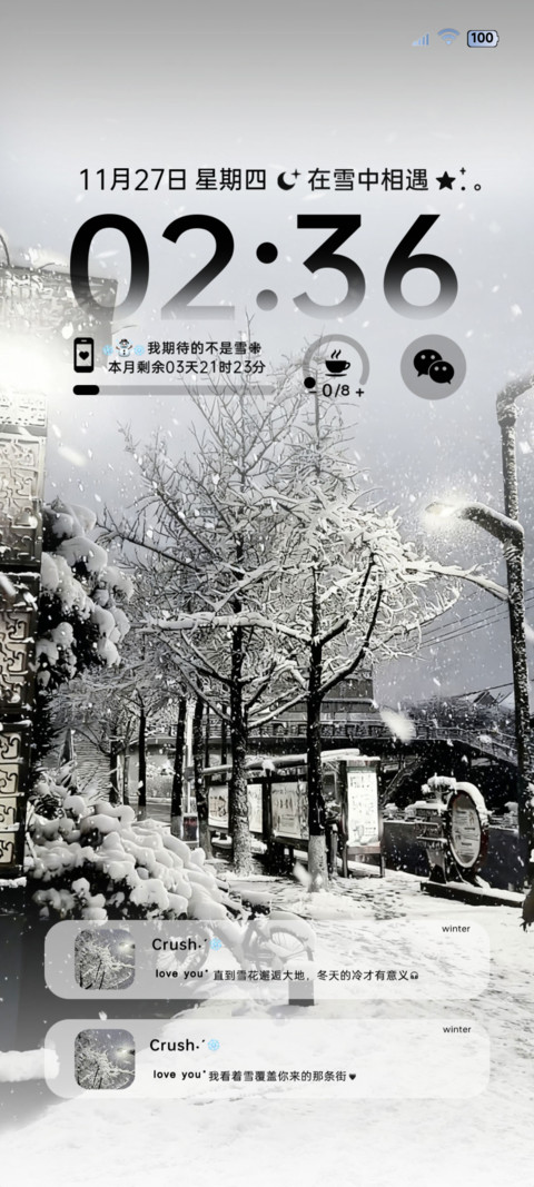 ins 初雪的浪漫 preview
