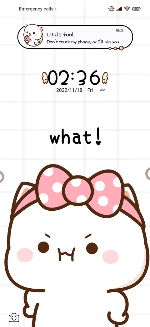 Peach Cat Dynamics miui theme