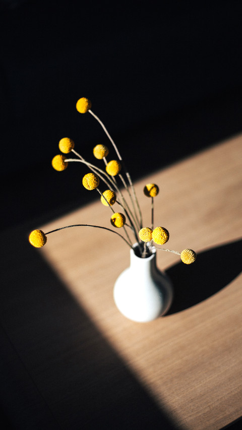 Beautiful rounds flowers on the wooden table in white vase preview