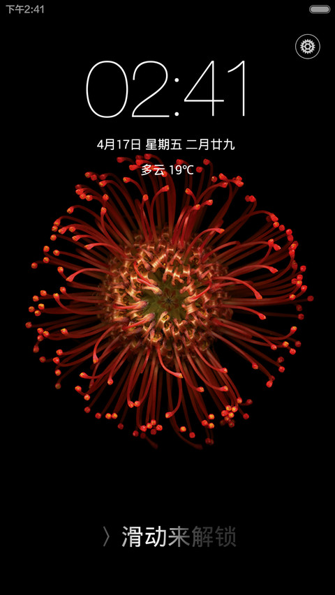 iPhone Plus preview