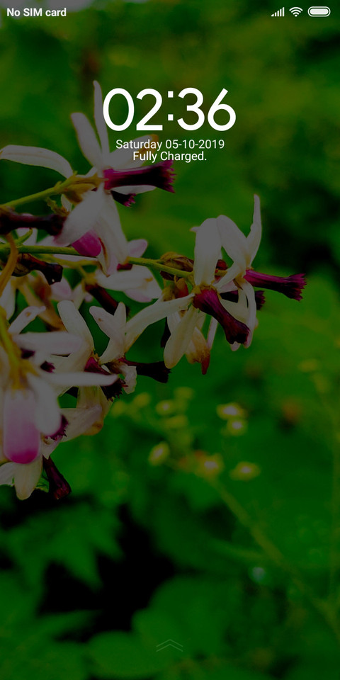 Bunch of flowers_DWM2 preview