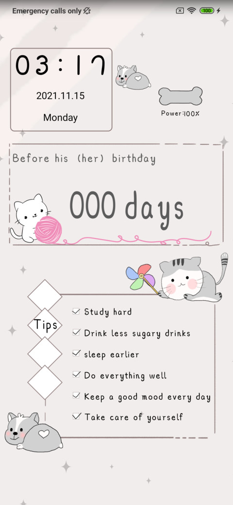 Cute cat preview