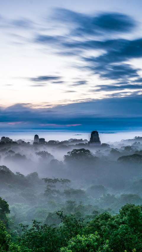 The mayan temple in tikal preview