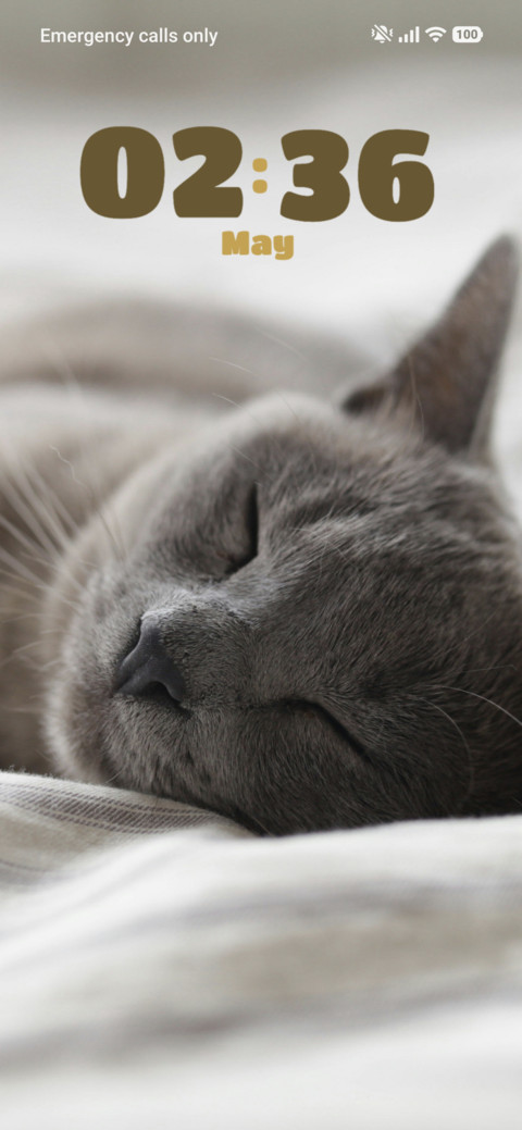 Meowfia preview