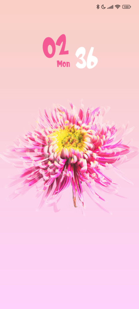 Daisy Petal preview