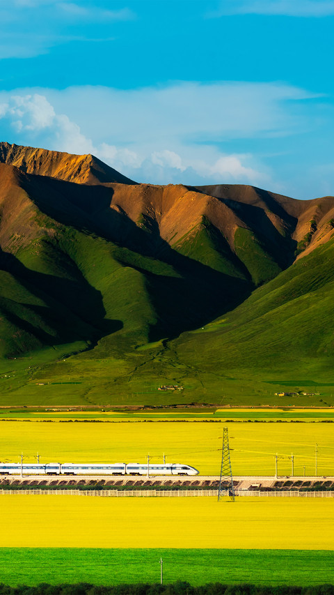 A train in the sea of rape flowers preview