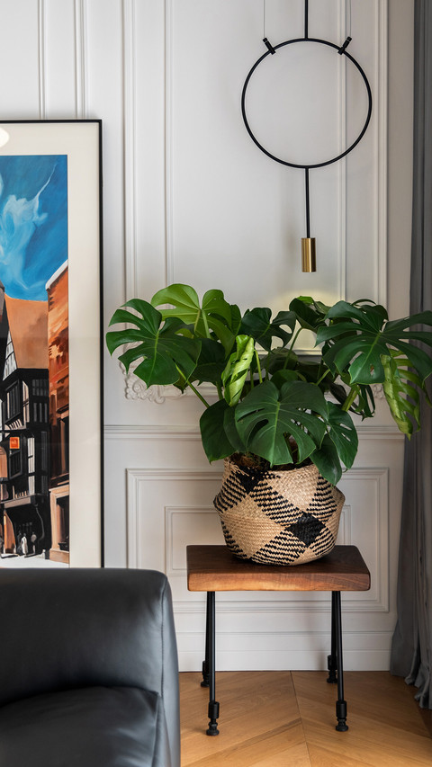 Plants 8 of home dec preview