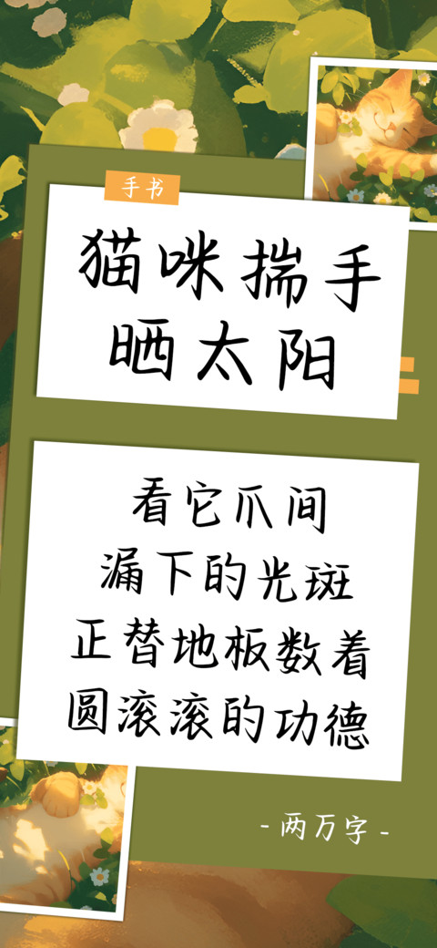 猫咪揣手晒太阳 preview