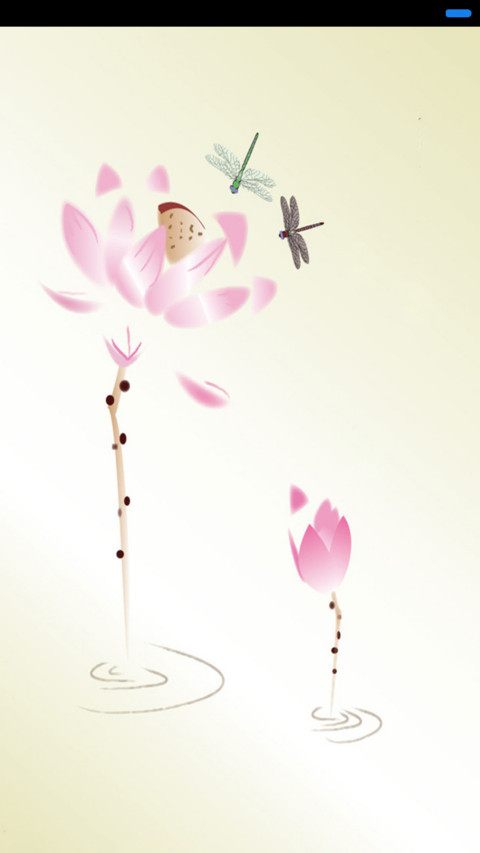 荷花情 preview