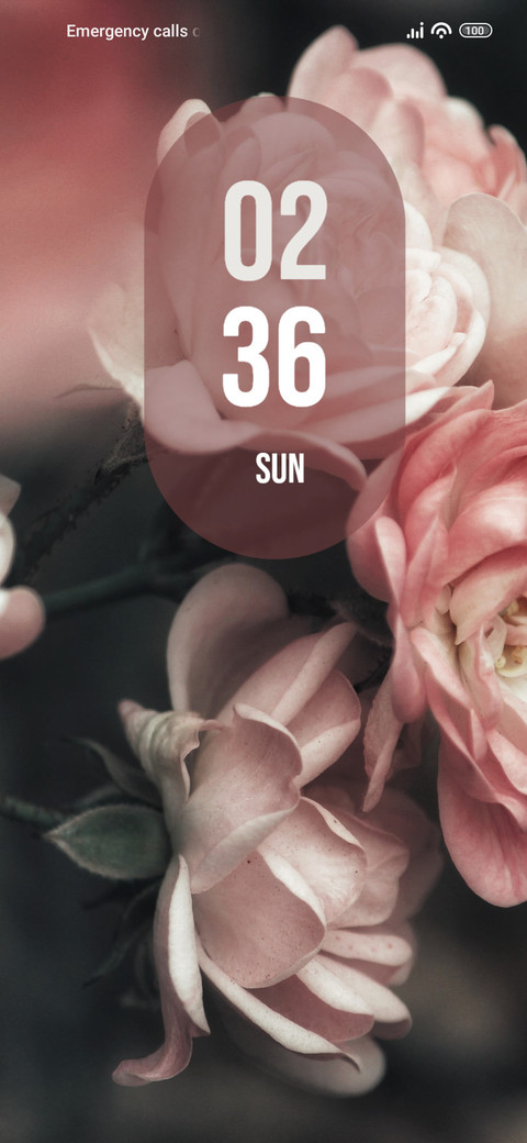 Rosebush preview