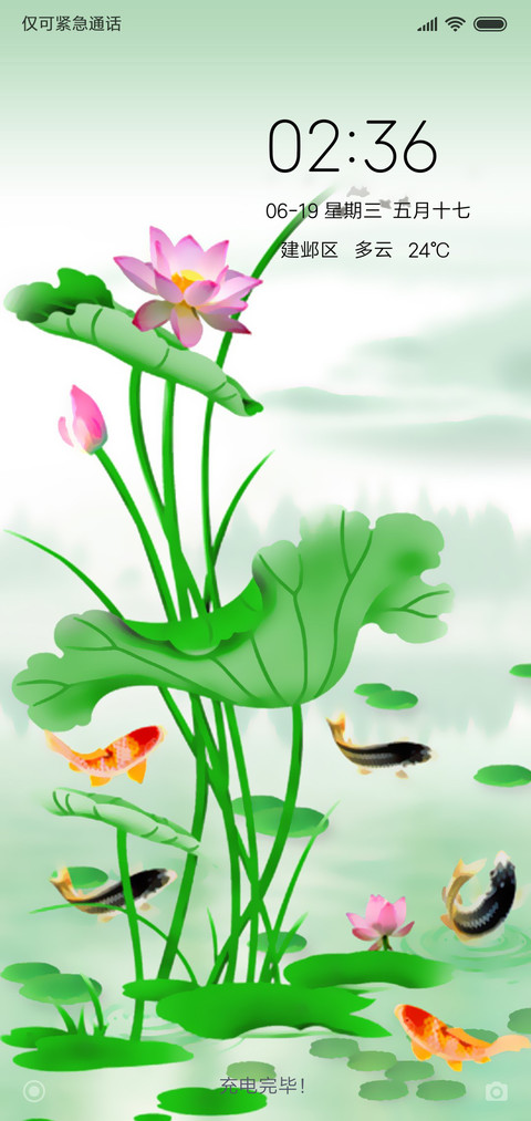 鱼戏新荷 preview
