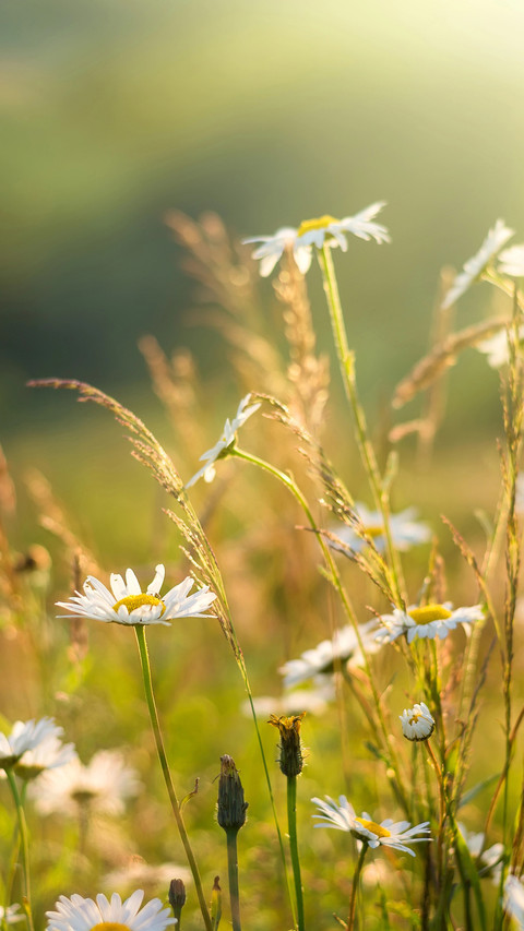 山间风光-拍信图库 preview