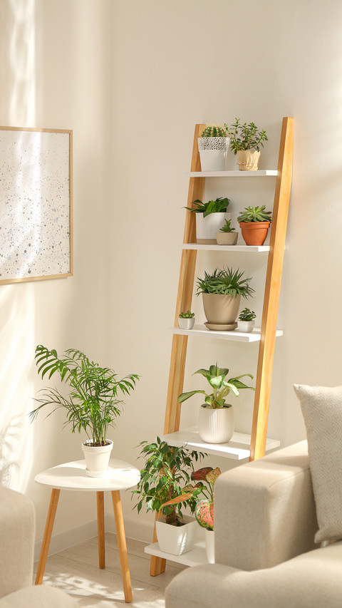 Decorative Wooden Ladder in Stylish Living Room Interior preview