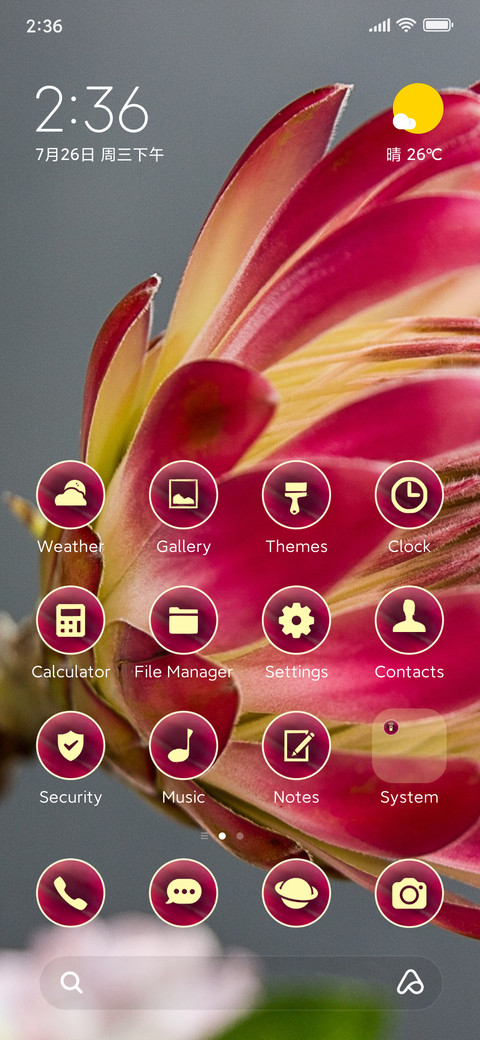 flowers petals preview