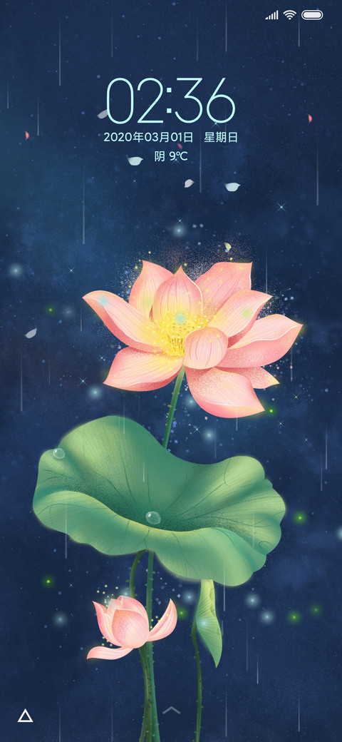 唯美夜韵荷花 preview