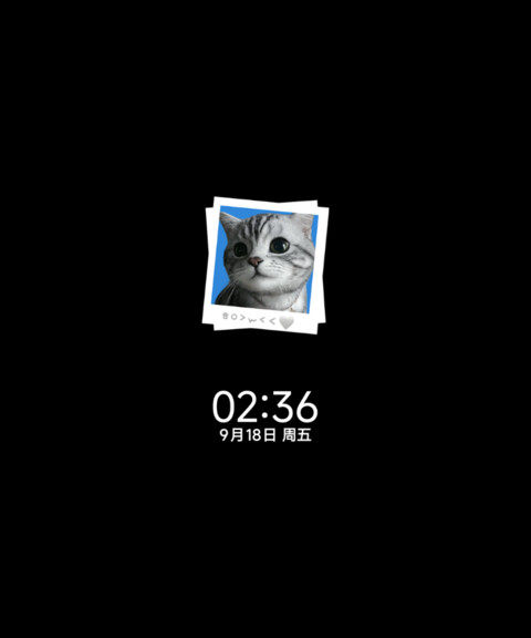 ins蓝调 小猫曲 preview
