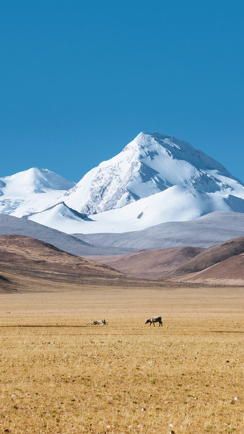 Power facilities in Tibet's highland landscape preview