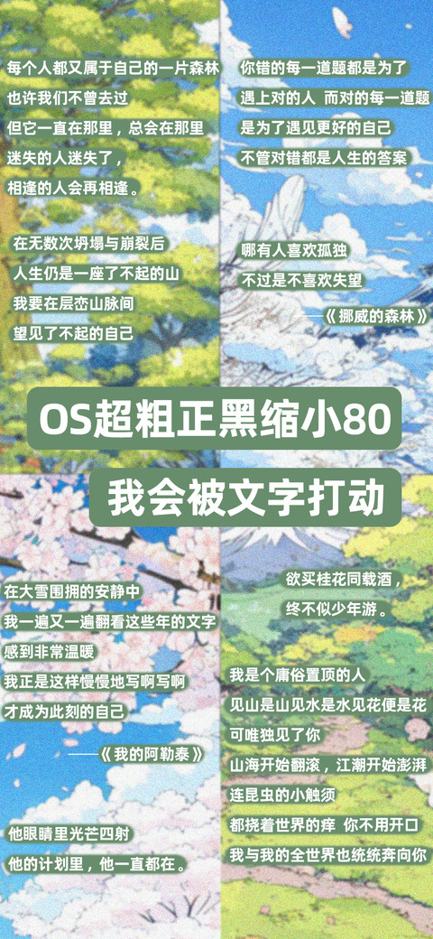 OS超粗正黑缩小80 preview