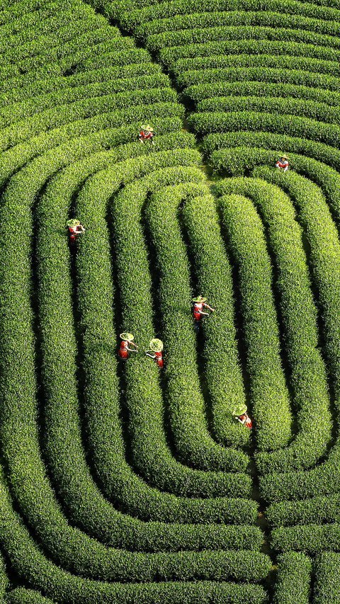 Let financial services revitalize the countryside 16 preview