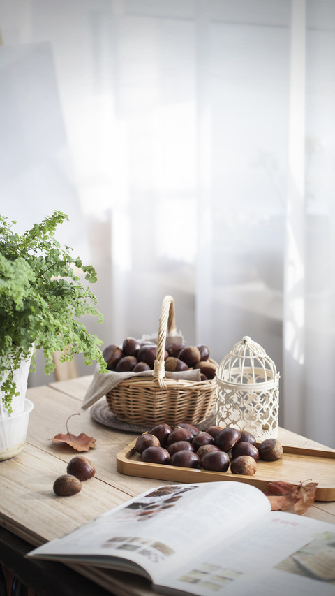 Chinese chestnut ranking preview