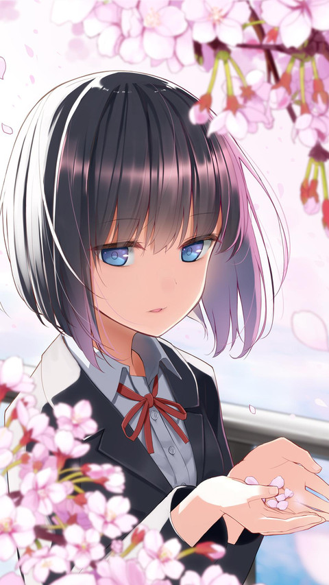 花间 preview