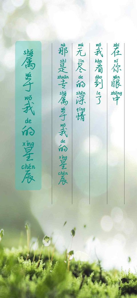 属于我的星辰 preview