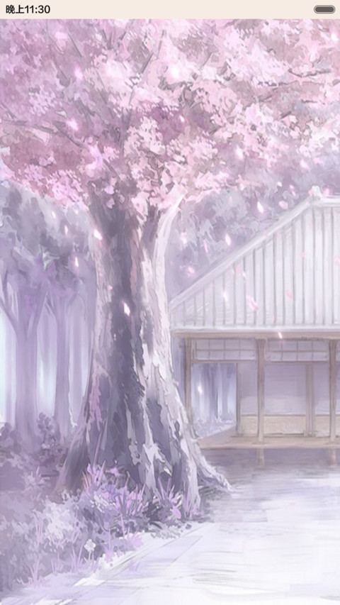 最美樱花落 preview