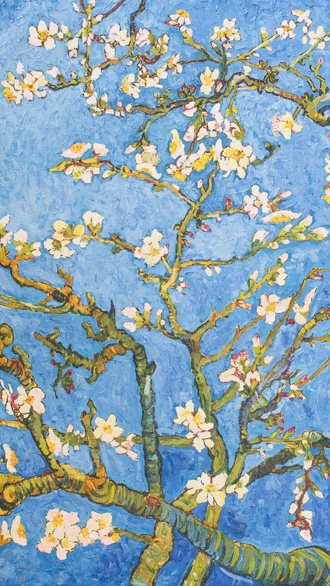 Blossoming Almond Tree, Beautiful Oil Painting on Canvas preview